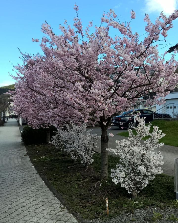 Fewo Altstadt Bl Bad Laasphe Luaran gambar